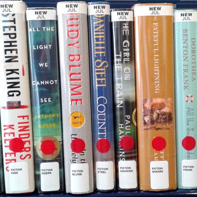 Books sitting on the Hot Picks shelf: Finders Keepers by Stephen King; All the Light We Cannot See by Anthony Doerr; In the Unlikely Event by Judy Blume; Country by Danielle Steele; The Girl on the Train by Paula Hawkins; The Fateful Lightning by Jeff Shaara; All the Single Ladies by by Dorothea Benton Frank