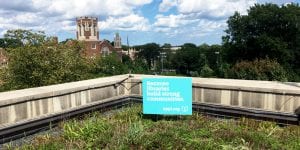 Library lawn sign on green roof: Libraries build strong communities