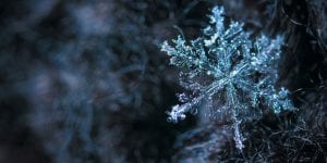 Close-up of snowflake