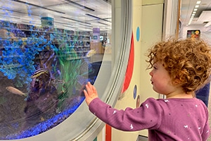 A toddler lightly touching the glass of the fish tank in the Main Library Children's Services Area